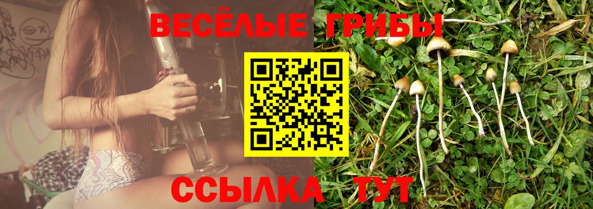 Спасск-Дальний  Псилоцибиновые грибы мицелий  Вход с VPN  Галлюциногенные грибы Psilocybine cubensis 
